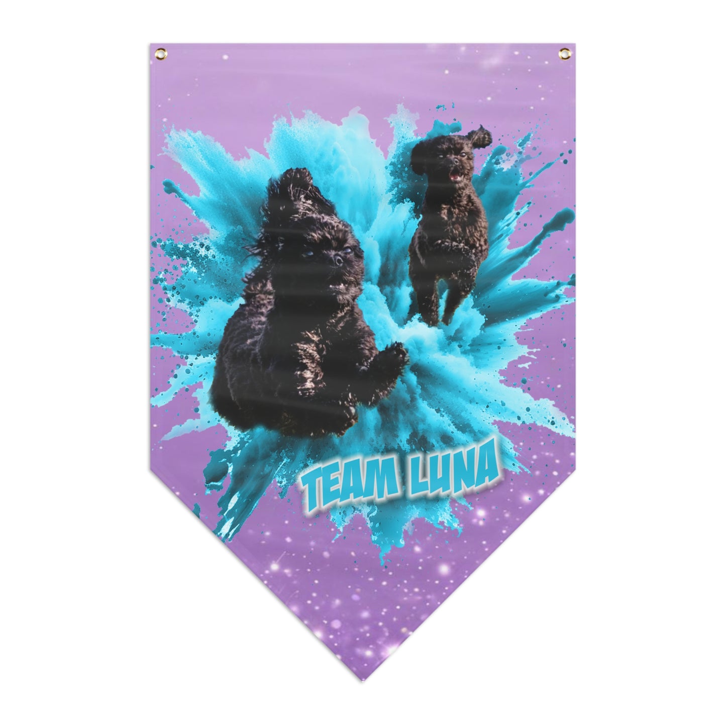 TEAM LUNA Pennant Banner