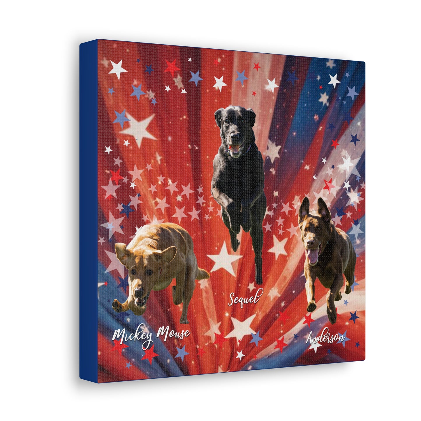 ANDERSON & FRIENDS Canvas Gallery Wraps