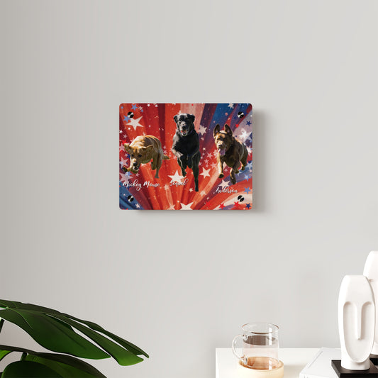 ANDERSON & FRIENDS Acrylic Wall Art Panels
