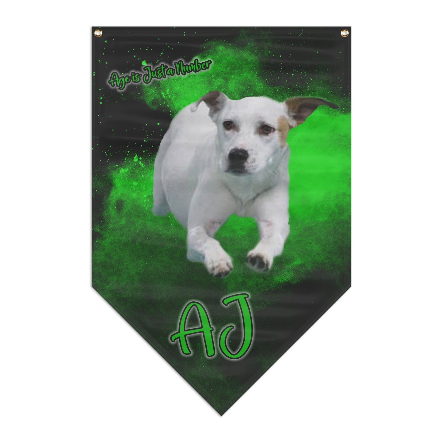 AJ Pennant Banner