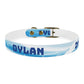 BUBBLES - DYLAN Dog Collar