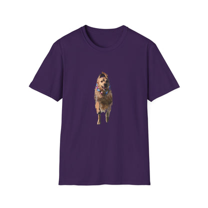 ENZO! Unisex Softstyle T-Shirt