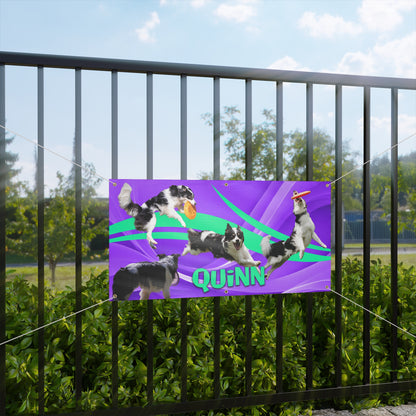 QUINN Matte Banner