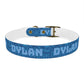 GROOVY WAVES - DYLAN Dog Collar