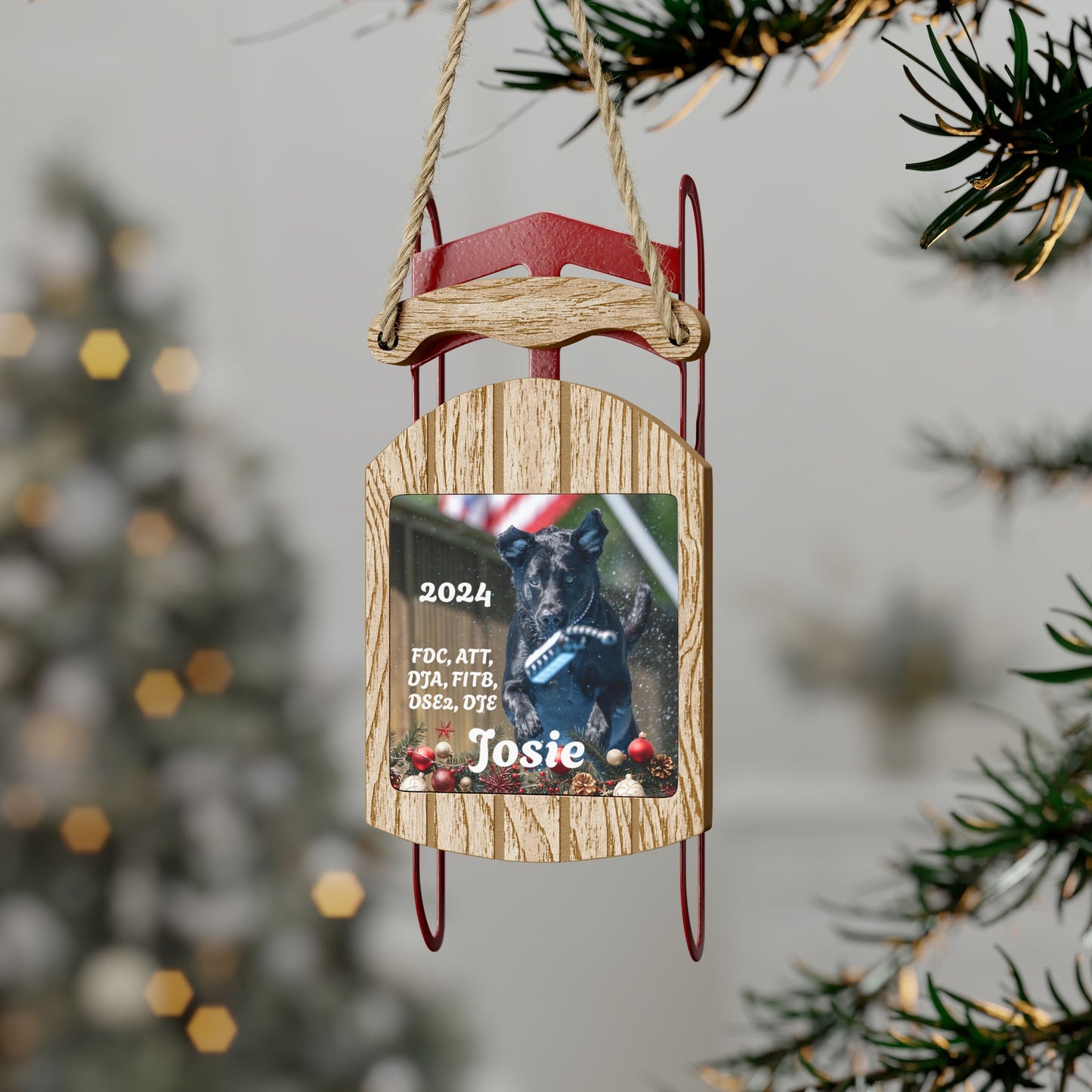 Josie Sled Ornaments