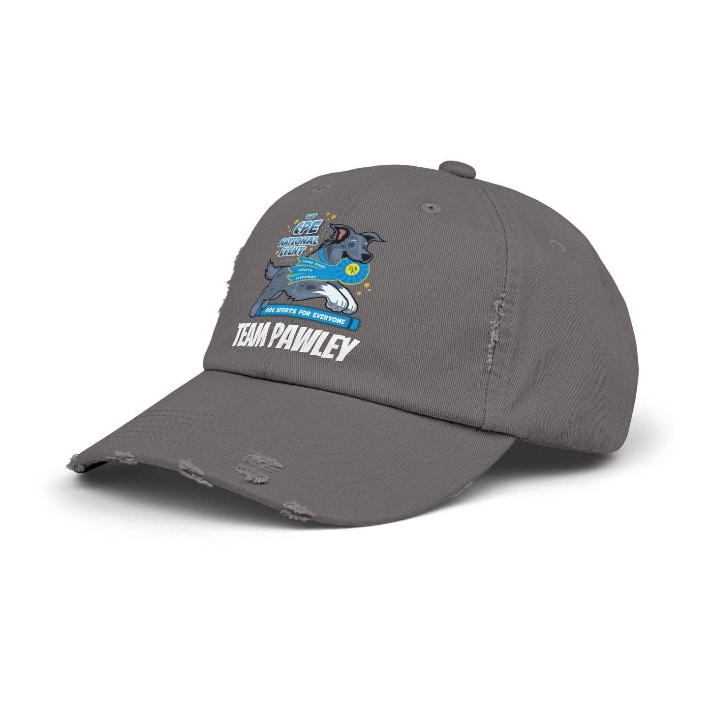 Team Pawley CPE Unisex Distressed Cap