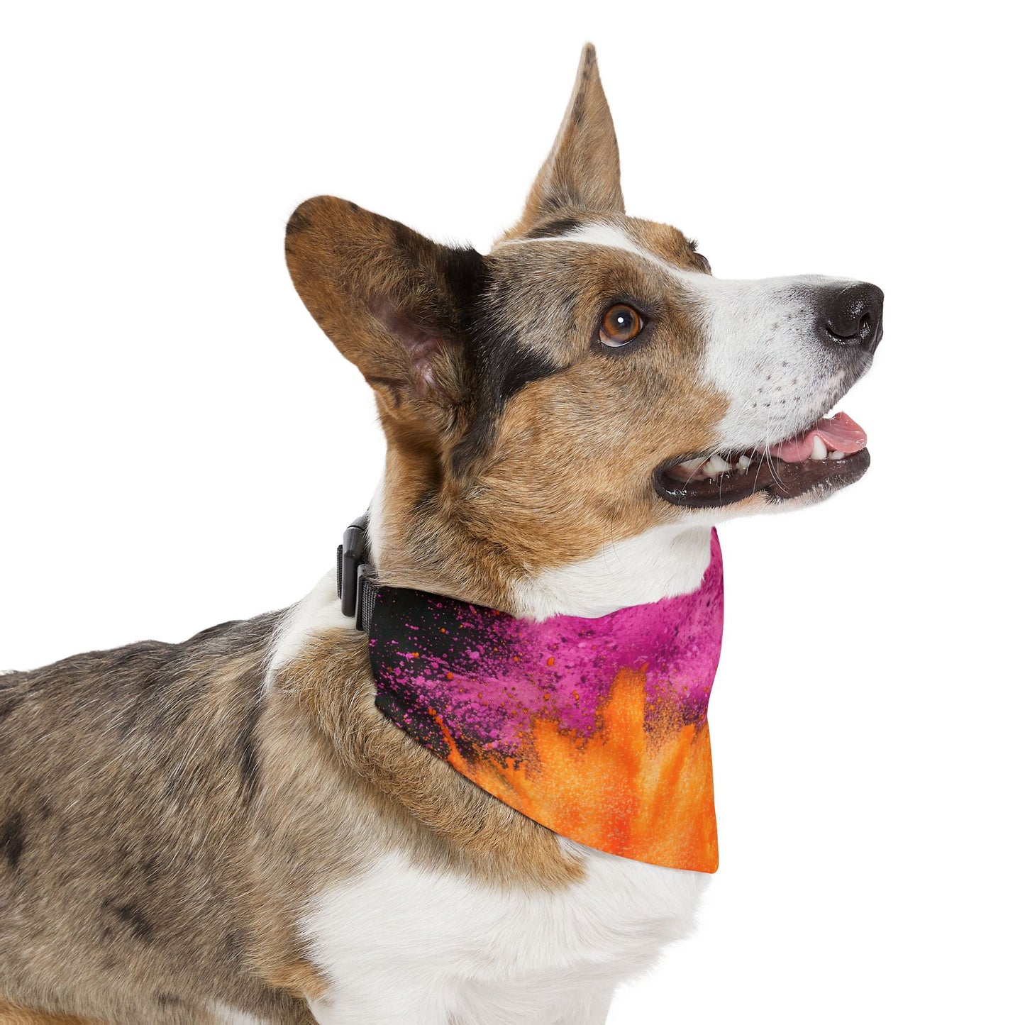 PINK ORANGE POWDER  Pet Bandana Collar