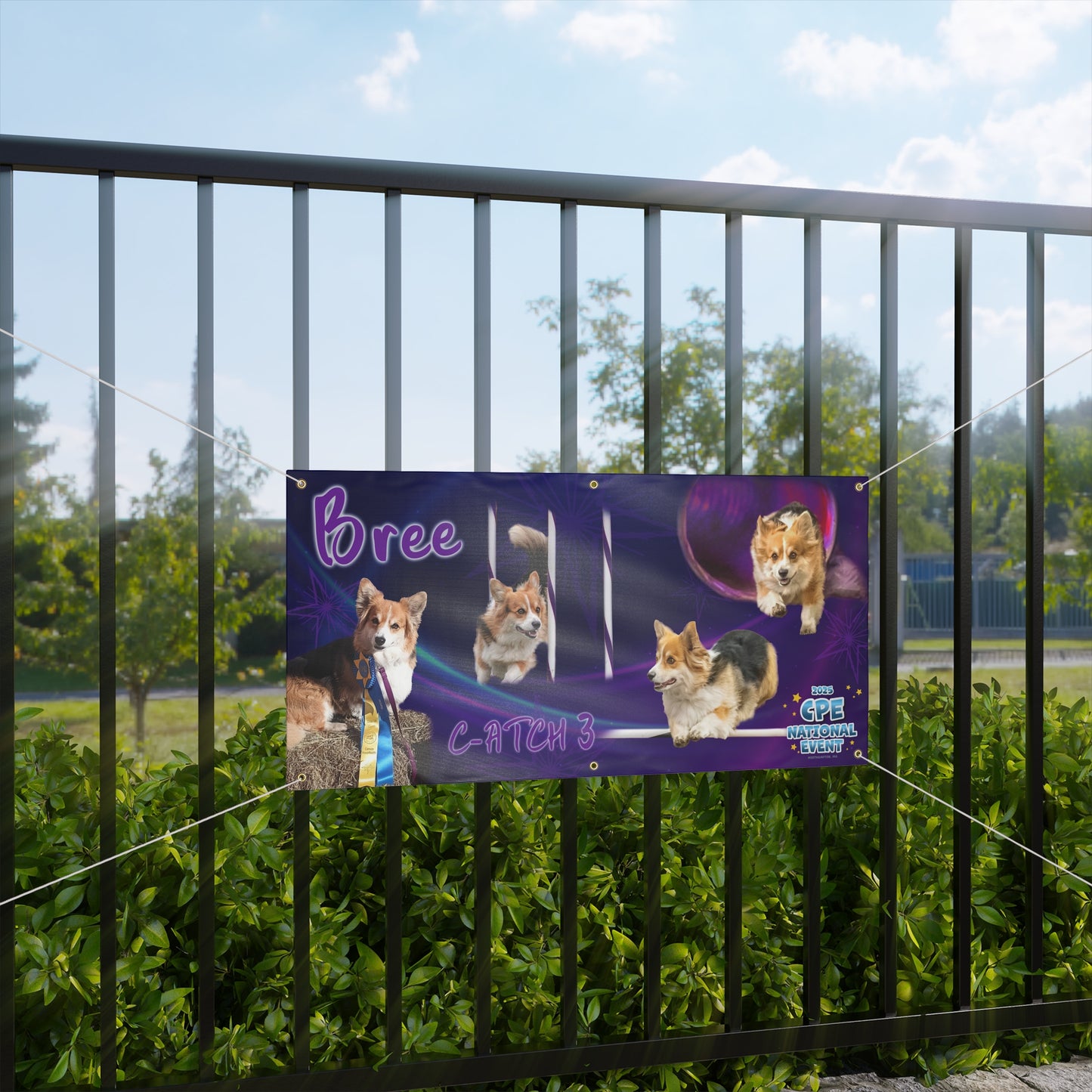 BREE CPE Matte Banner