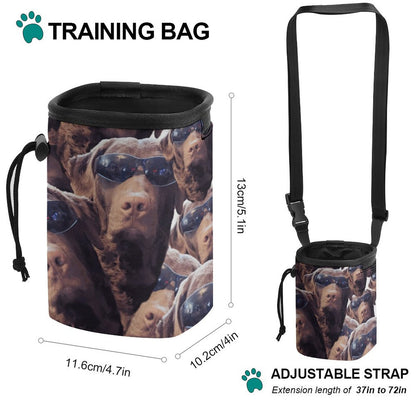 FOXY LADY _ LAB _ COLLAGE FACE DESIGN - Dog Treat Training Bags