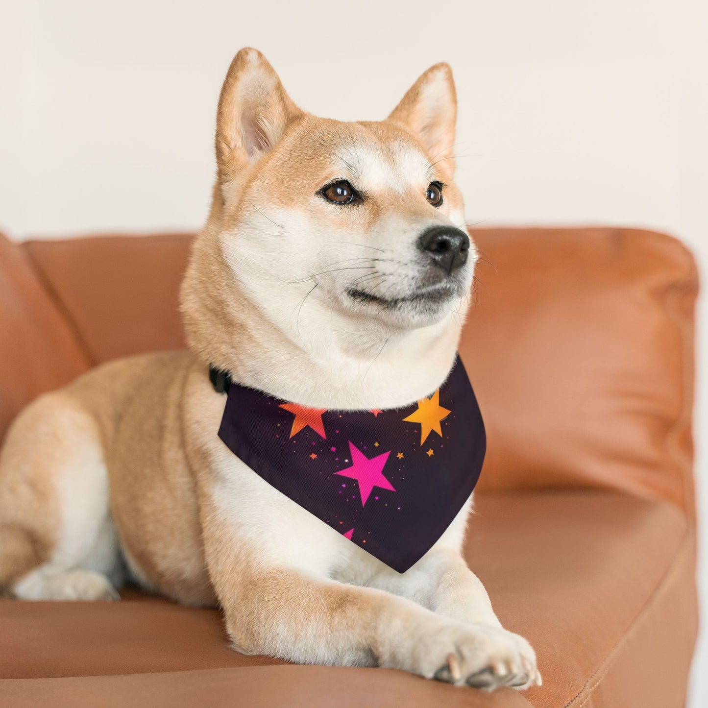 PINK ORANGE  STARS ON BLACK Pet Bandana Collar