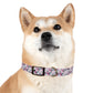 FLORAL ORCA  Dog Collar