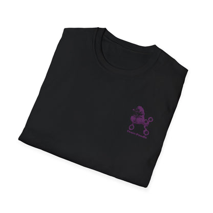 2  TEAM POODLE NASDA Unisex Softstyle T-Shirt