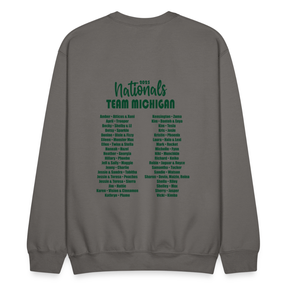 CPE TEAM MICHIGAN Crewneck Sweatshirt - asphalt gray