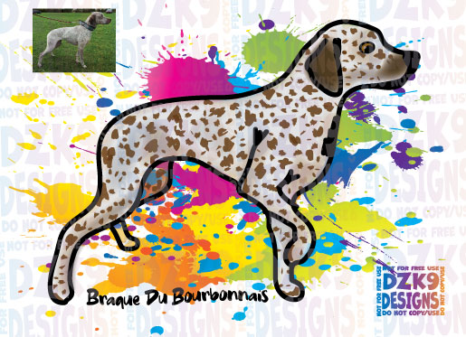 COLOR SPLASH  BREEDS COLLECTION - HandDrawn
