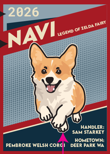 CLASSIC TRADING CARDS