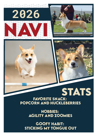 CLASSIC TRADING CARDS