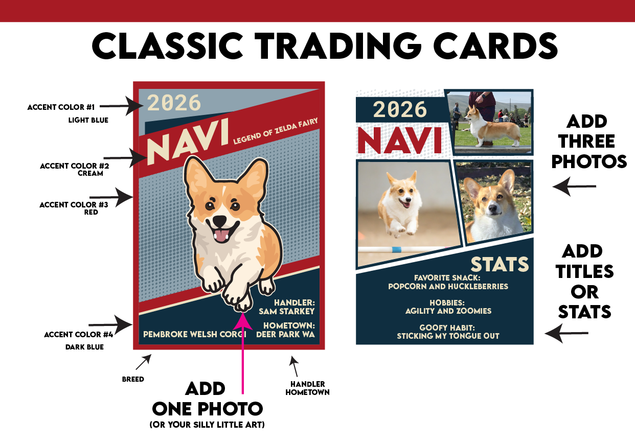 CLASSIC TRADING CARDS