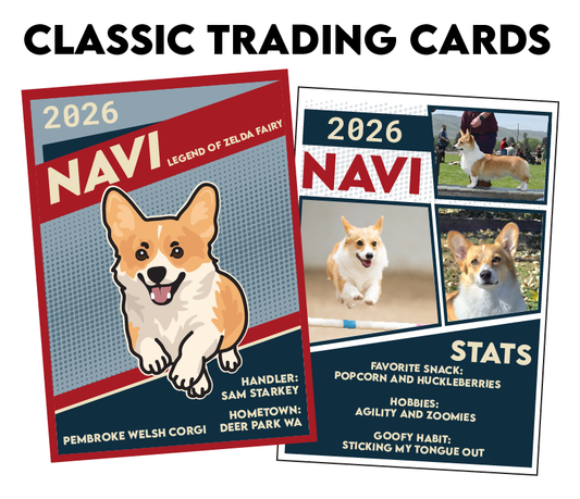 CLASSIC TRADING CARDS
