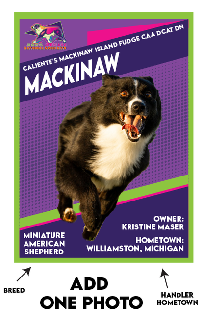 CLASSIC STYLE TRADING CARDS -  MASCUSA Nationals 2026