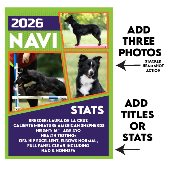 CLASSIC STYLE TRADING CARDS -  MASCUSA Nationals 2026