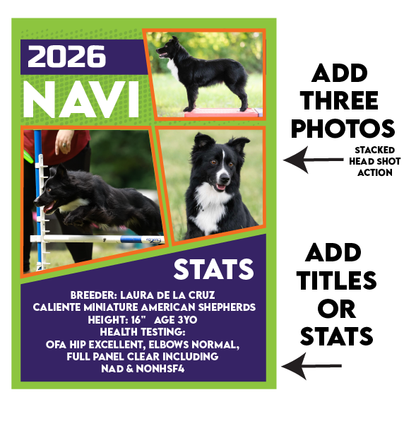 CLASSIC STYLE TRADING CARDS -  MASCUSA Nationals 2026