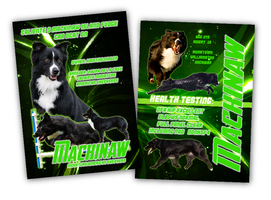 ALL CUSTOM TRADING CARDS  - mascusa