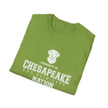 Chesapeake NATION Unisex Softstyle T-Shirt