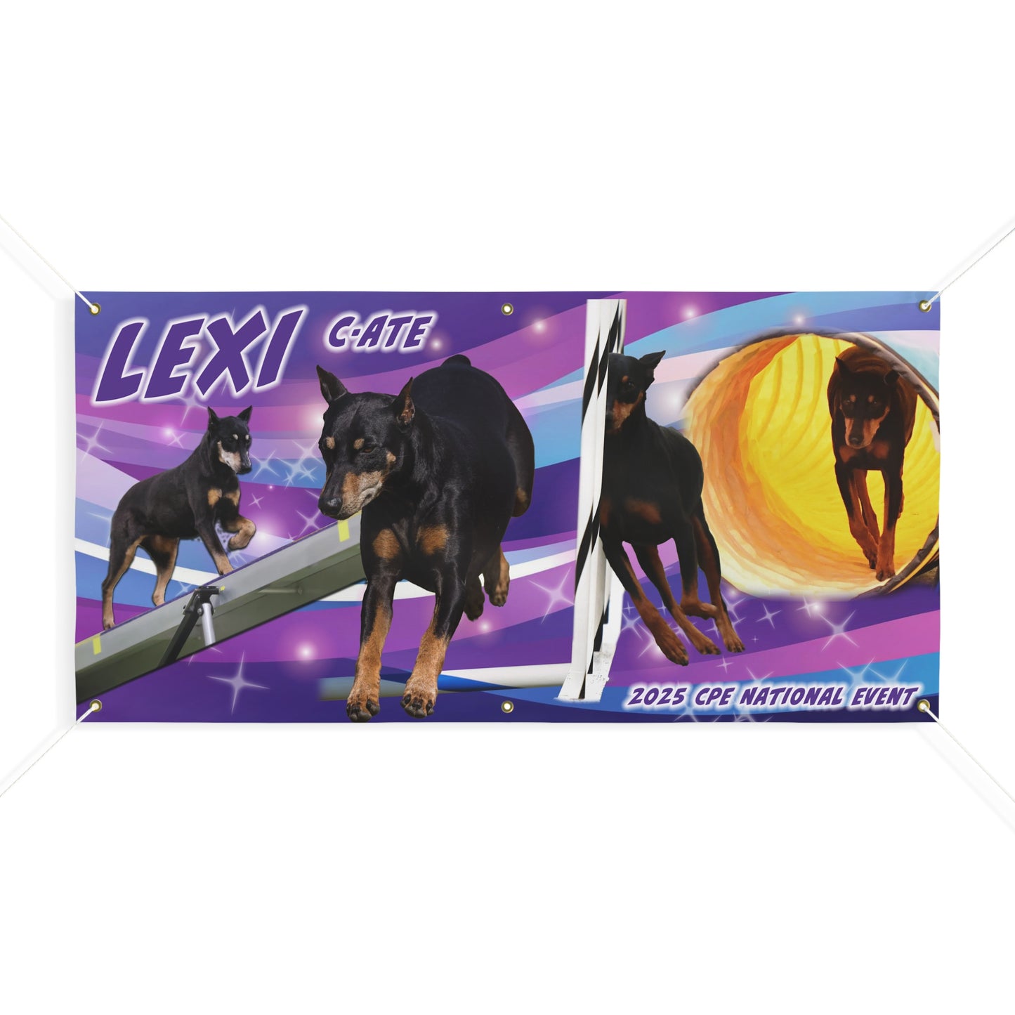 Matte Banner CPE LEXI