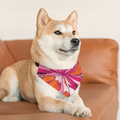 PINK ORANGE #1 Pet Bandana Collar