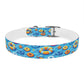 Summer Fun Floaties Dog Collar