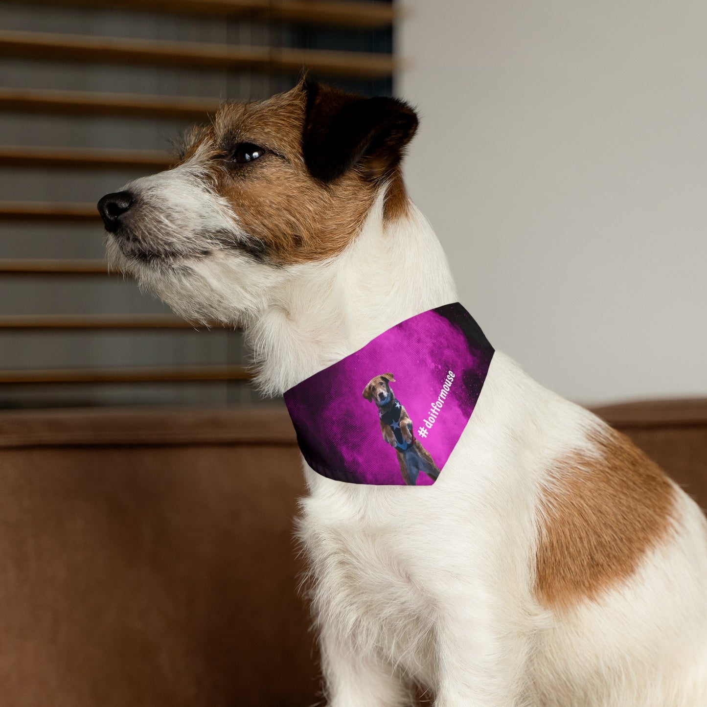 #doitformouse Bandana Collar