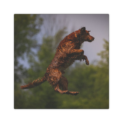 BOOMER Canvas Photo Tile