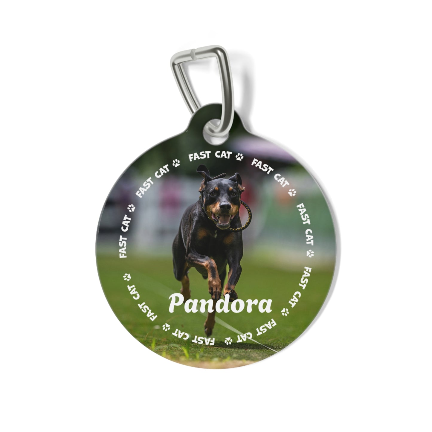 PANDORA BRAG Tag