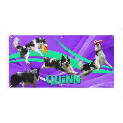 QUINN Matte Banner