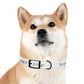 PRETTY FLY 90s  Dog Collar