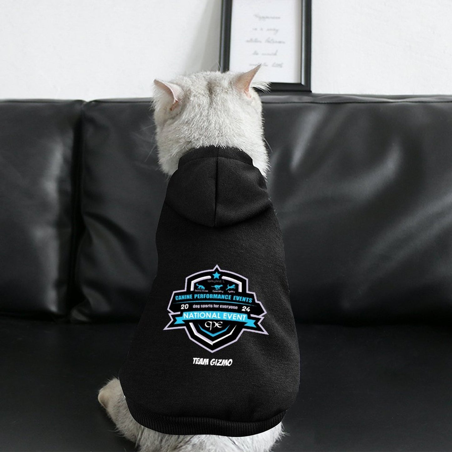 *** TEAM GIZMO - CPE Custom Pet Hoodies