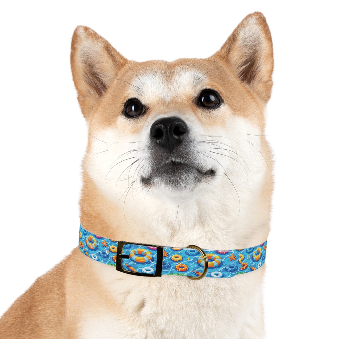 Summer Fun Floaties Dog Collar