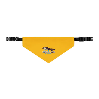 GOLD *AKC AGILITY LEAGUE Pet Bandana Collar