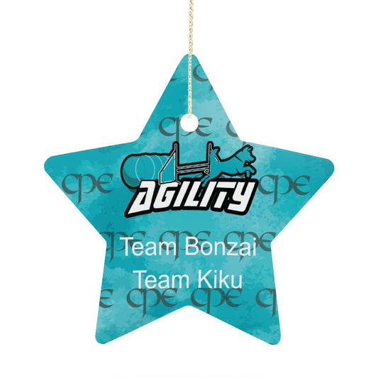 Star  Ornament Team Bonzai / Team Kiku