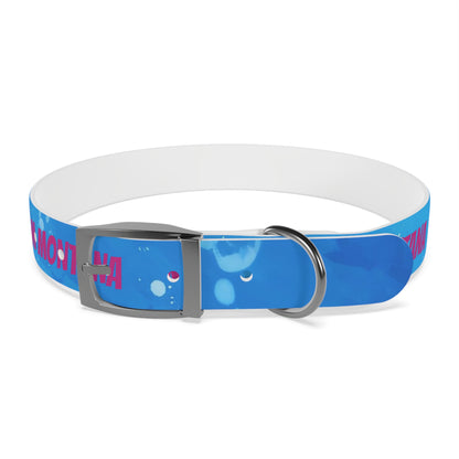 MONTANA NADD Dog Collar