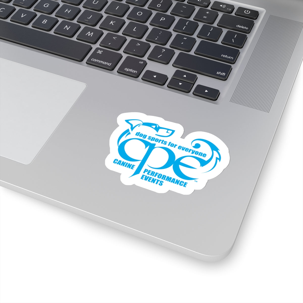 CPE BLUE   Stickers