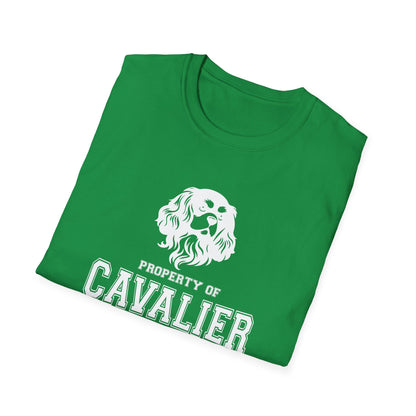 CAVALIER NATION  Unisex Softstyle T-Shirt