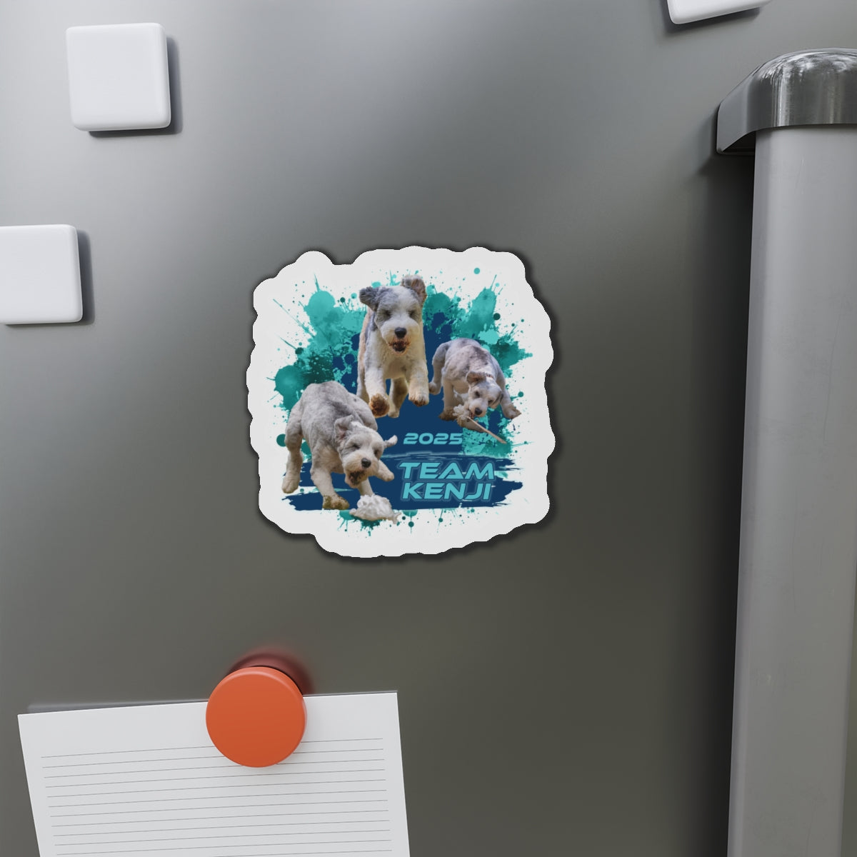 KENJI  Magnets