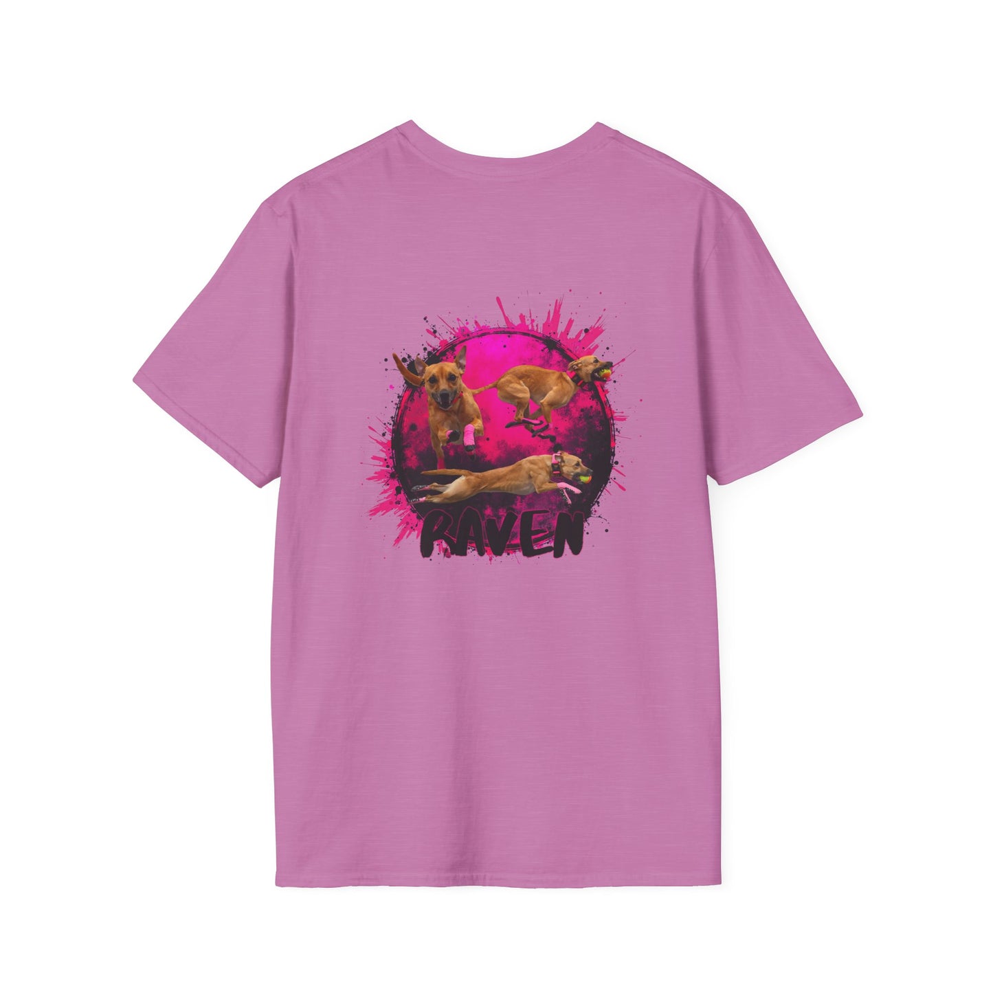 RAVEN Unisex Softstyle T-Shirt