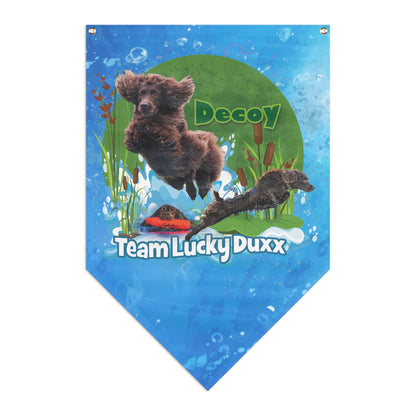 Team Lucky Duxx  Pennant Banner