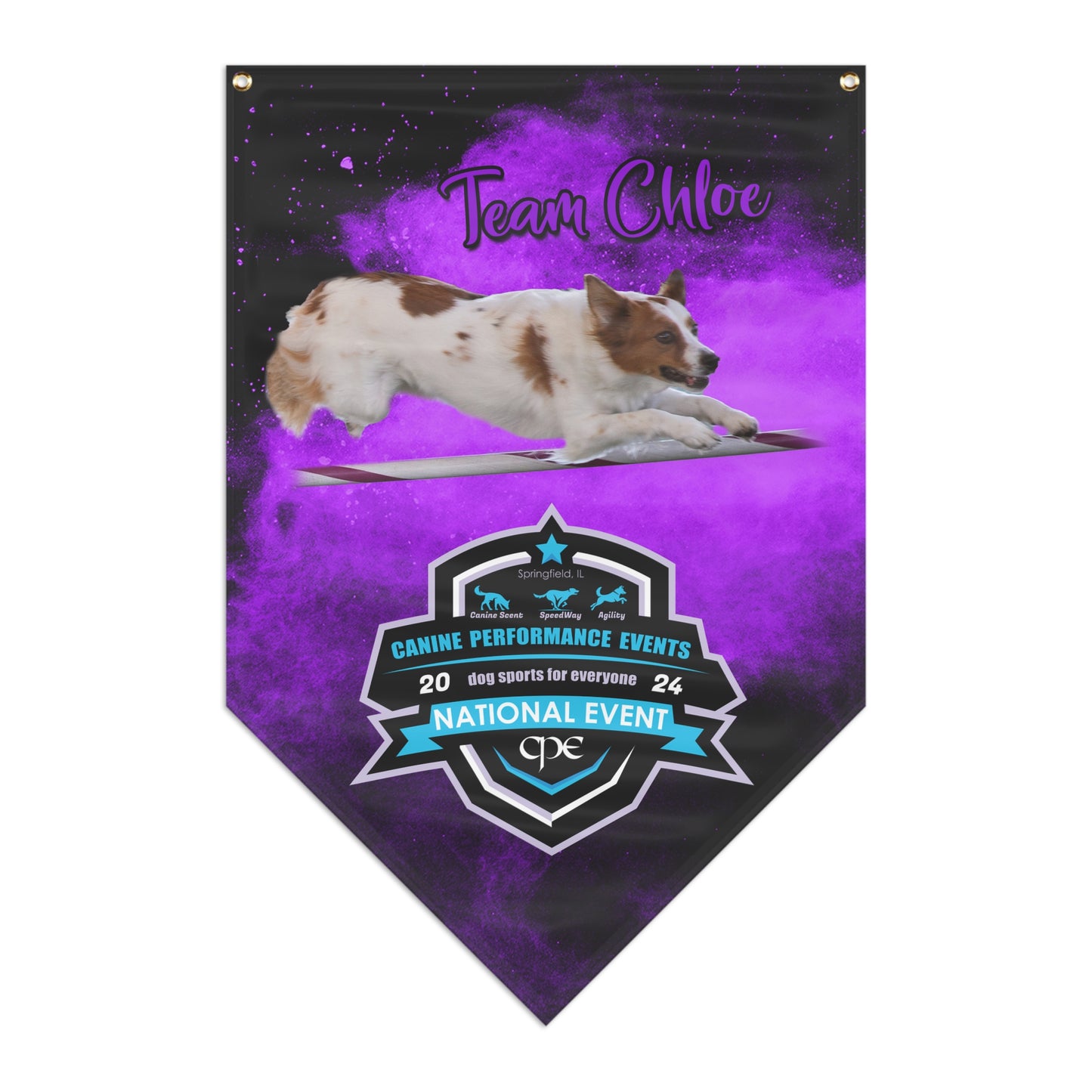 CHOLE 2 CPE Pennant Banner