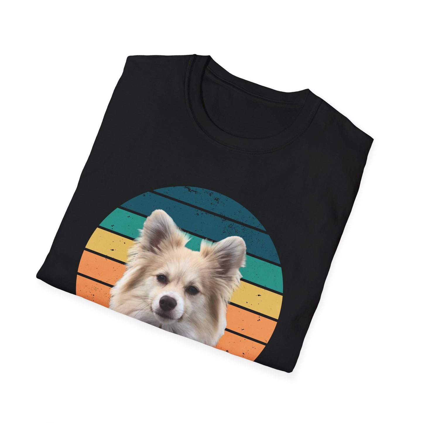 RETRO SUNSET DEXTER Unisex Softstyle T-Shirt