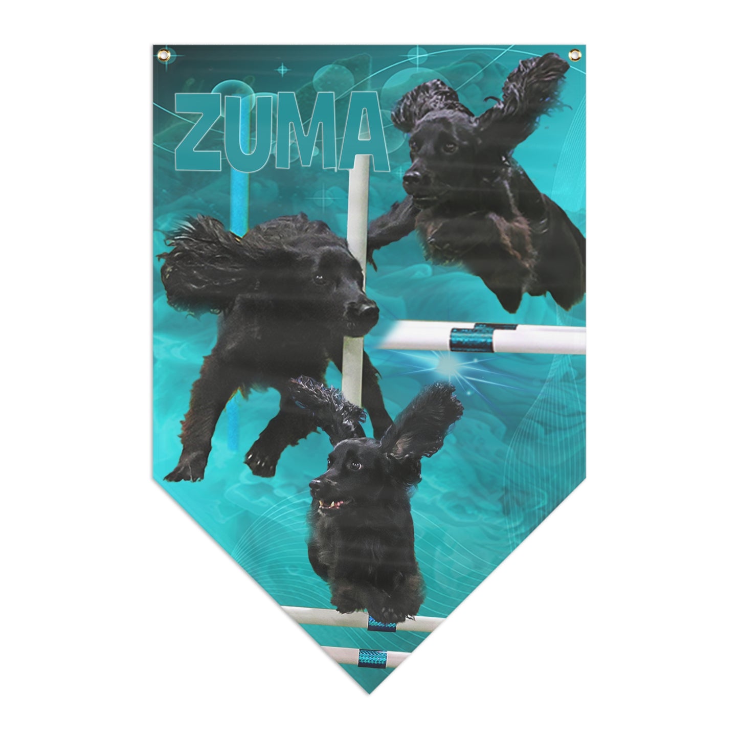 ZUMA Pennant Banner