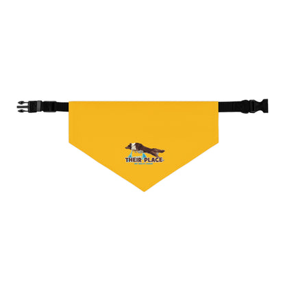 GOLD *AKC AGILITY LEAGUE Pet Bandana Collar