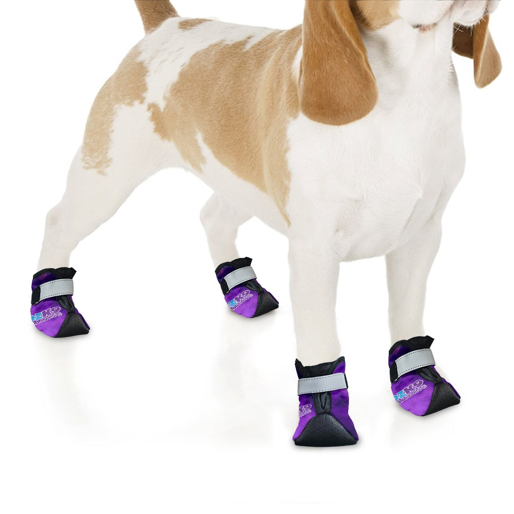 Dog Boots & Paw Protectors